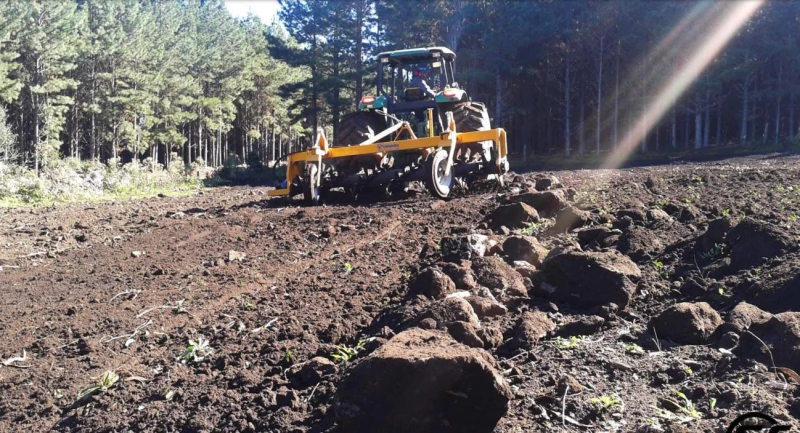 أشعل النار في الصخور